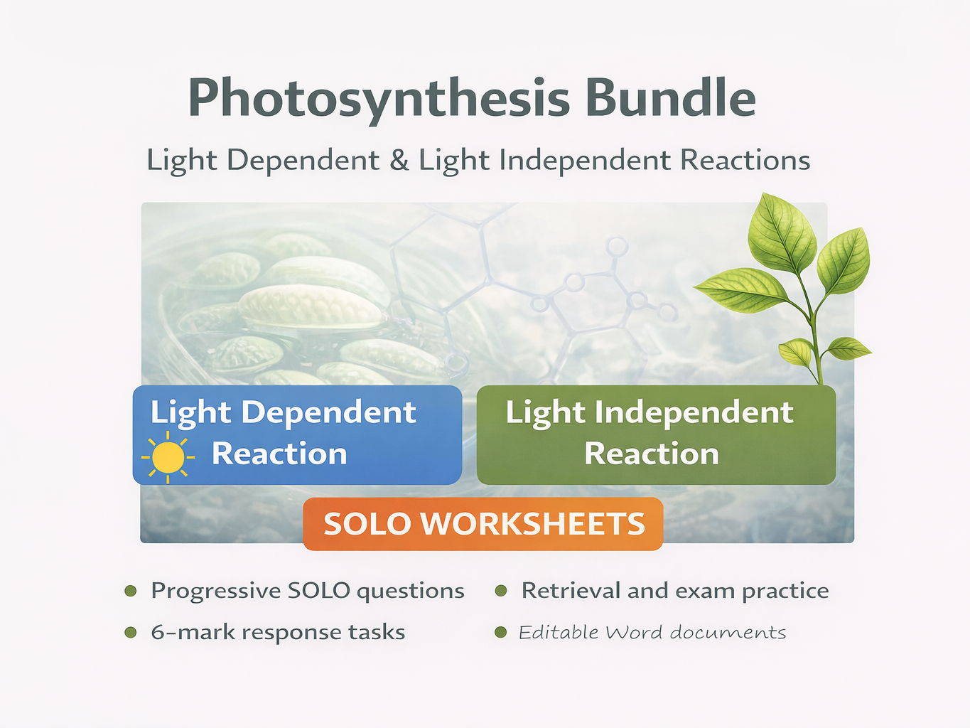 AQA A-Level Biology. Photosynthesis. LDR and LIR worksheets WITH ANSWERS