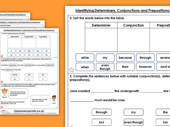 Determiners worksheet tes image