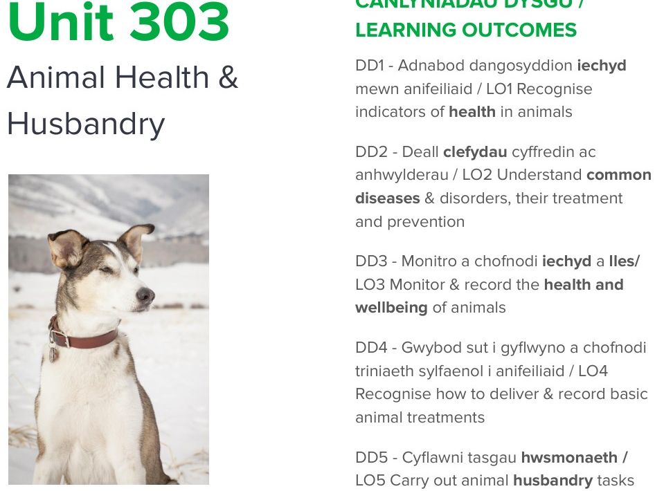 L3 Adv tech dip AM Unit 303 Anim Health & Husbandry LO2