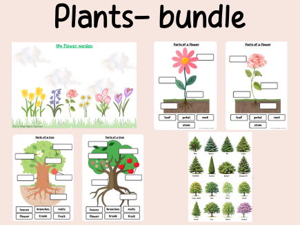 Science- plants bundle- continuous provision