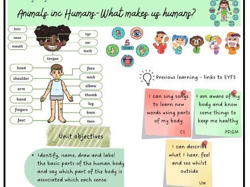 Year 1 Science Knowledge Organisers