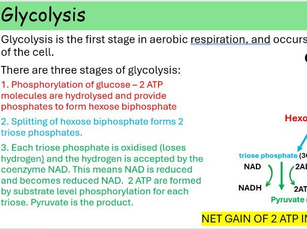 WJEC A level Biology A2 Unit 3 Topic 3.3: Respiration powerpoints for whole topic