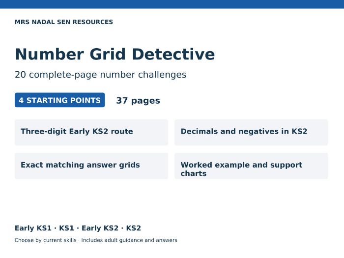 Number Grid Detective SEN Maths | 20 Challenges