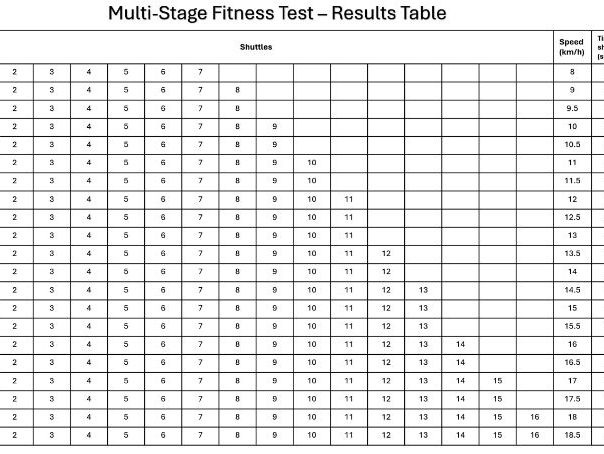 Multi-Stage Fitness Test - Analysis Sheet