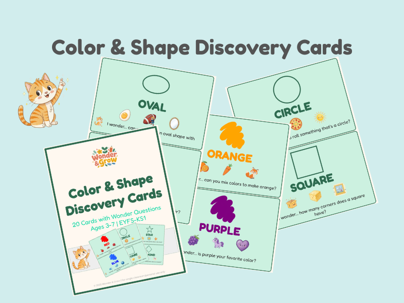 Color & Shape Discovery Cards | 20 Cards