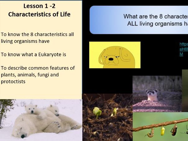 Edexcel IGCSE Biology 9–1 Topic 1a–b: Living Processes & Classification – 4 Complete Lessons