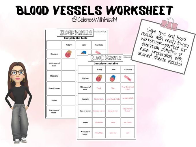 Blood Vessels Worksheet KS4