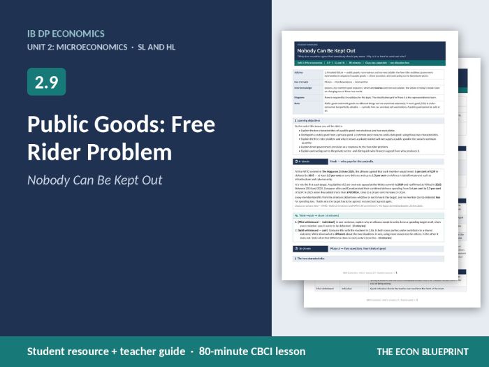 IB Economics 2.9 Public Goods | Free Rider Problem | CBCI