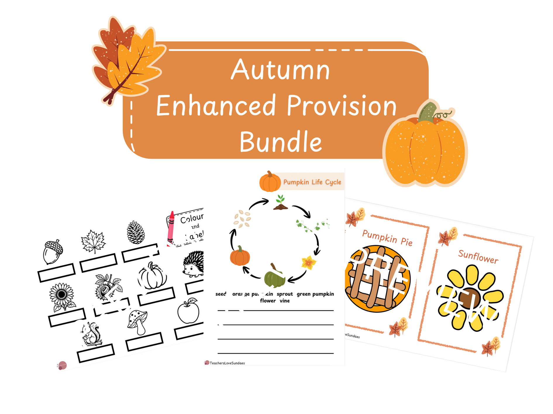 Autumn Enhanced Provision Bundle (20 resources)