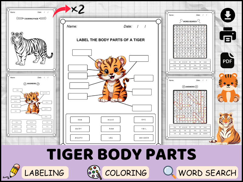 Tiger Body Parts in English | Wild Animal Labeling, Coloring & Word Search Worksheets