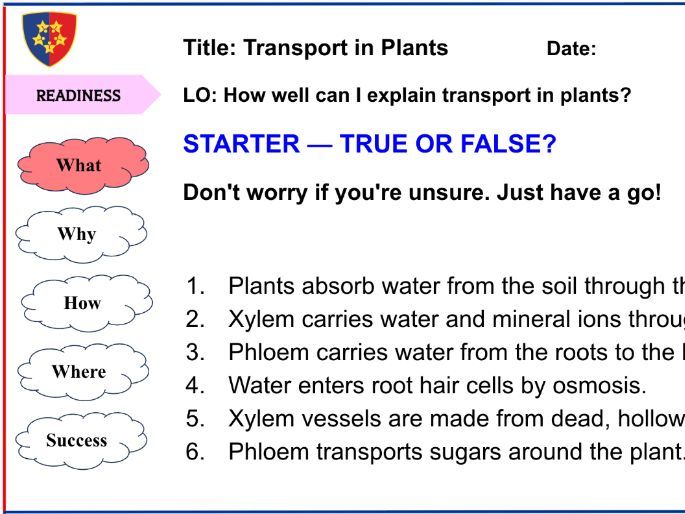 Transport in Plants