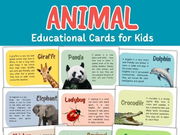 Animal Learning Cards – Educational Cards for Kids