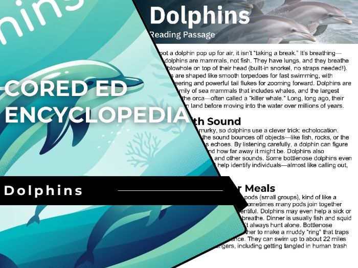Dolphins Reading Comprehension Passage - Cored Ed Encyclopedia