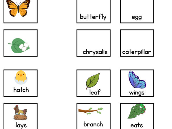 English Week 23: Conjunctions & Butterfly Life Cycle