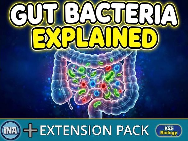 Bacteria in the Digestive System - KS3 Biology Extension Pack