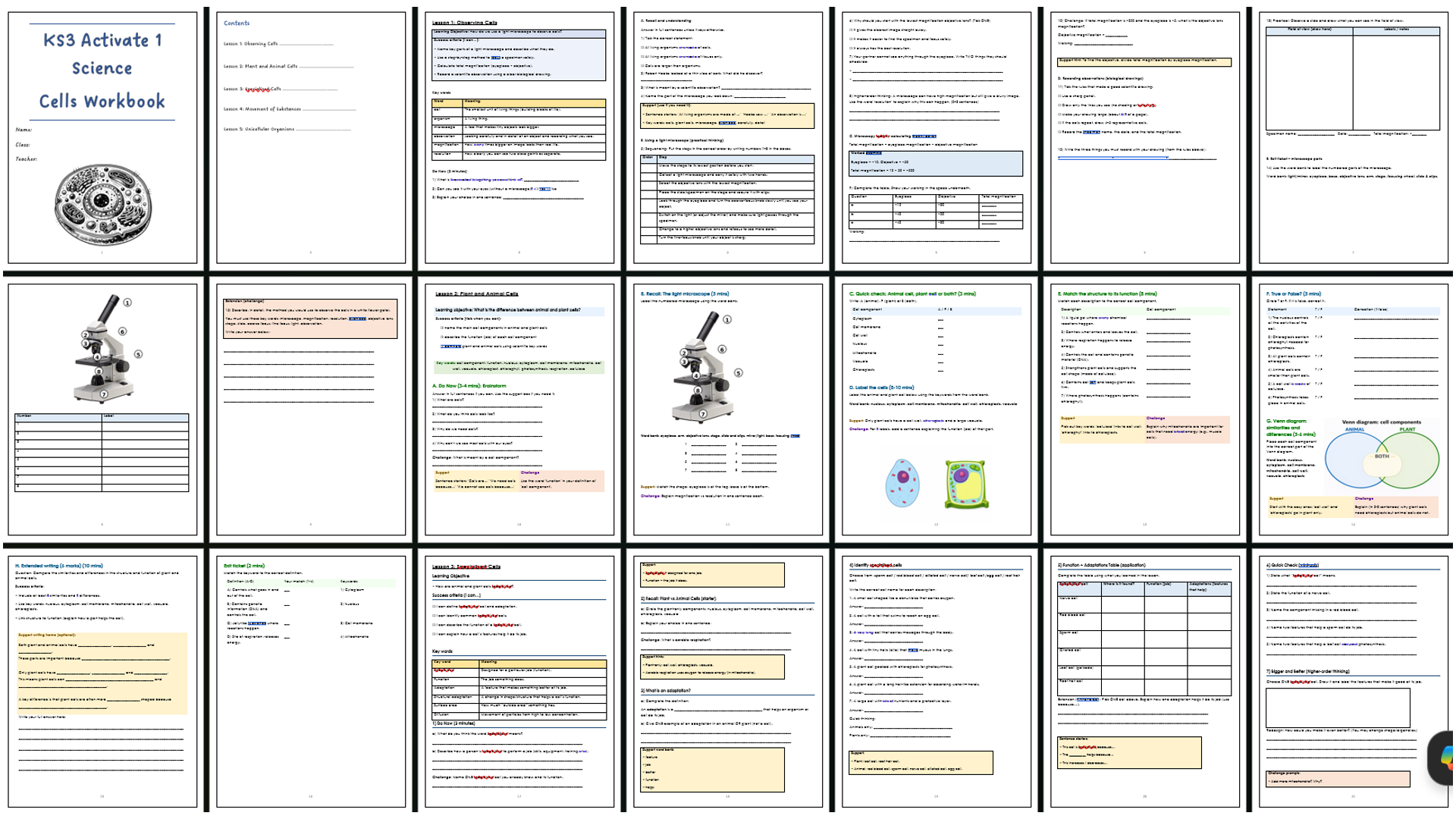 docx, 2.19 MB