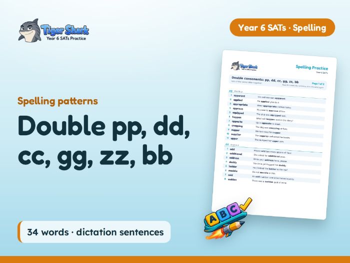 Double pp, dd, cc, gg, zz, bb: Y6 Spellings