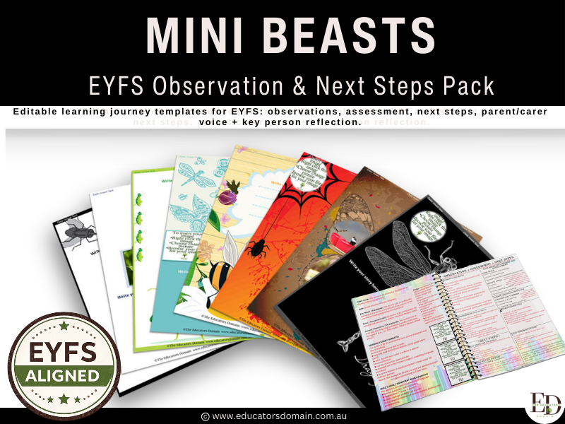 Mini Beast EYFS Learning Journey Templates