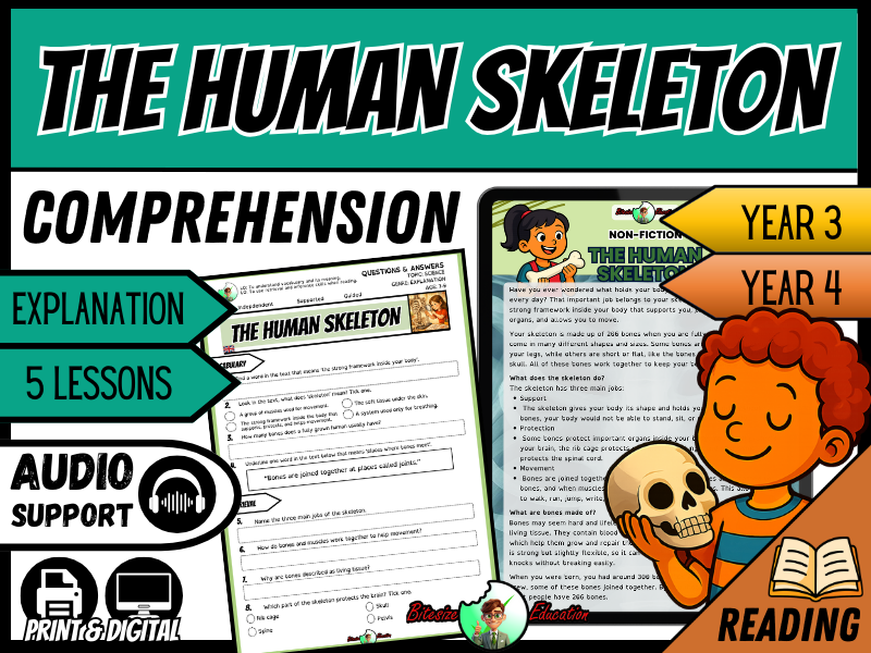 The Human Skeleton | Reading Comprehension | Year 3 /4