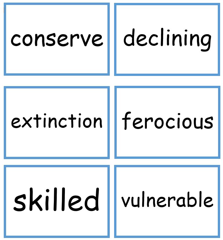 Complete Comprehension Key Words Flashcards | Teaching Resources