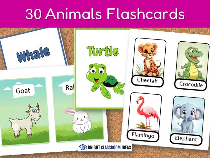 Animal Vocabulary Flashcards – Farm, Sea, and Zoo Animals (Editable PowerPoint)