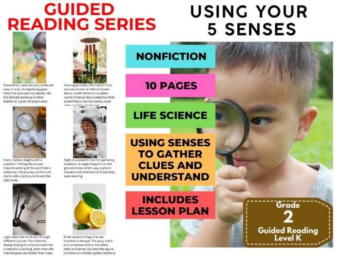 Guided Reading Level K - Using Your 5 Senses (with Lesson Plan)