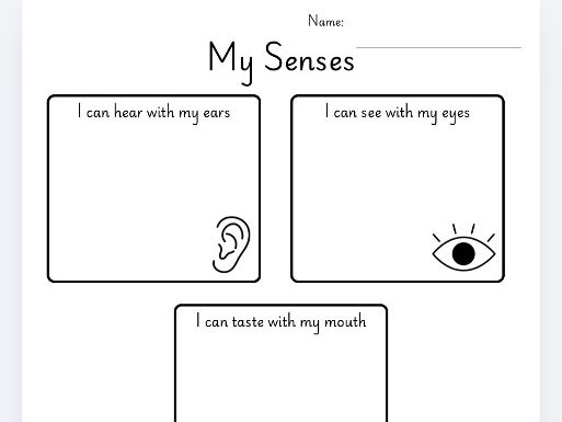 My senses - cut and stick