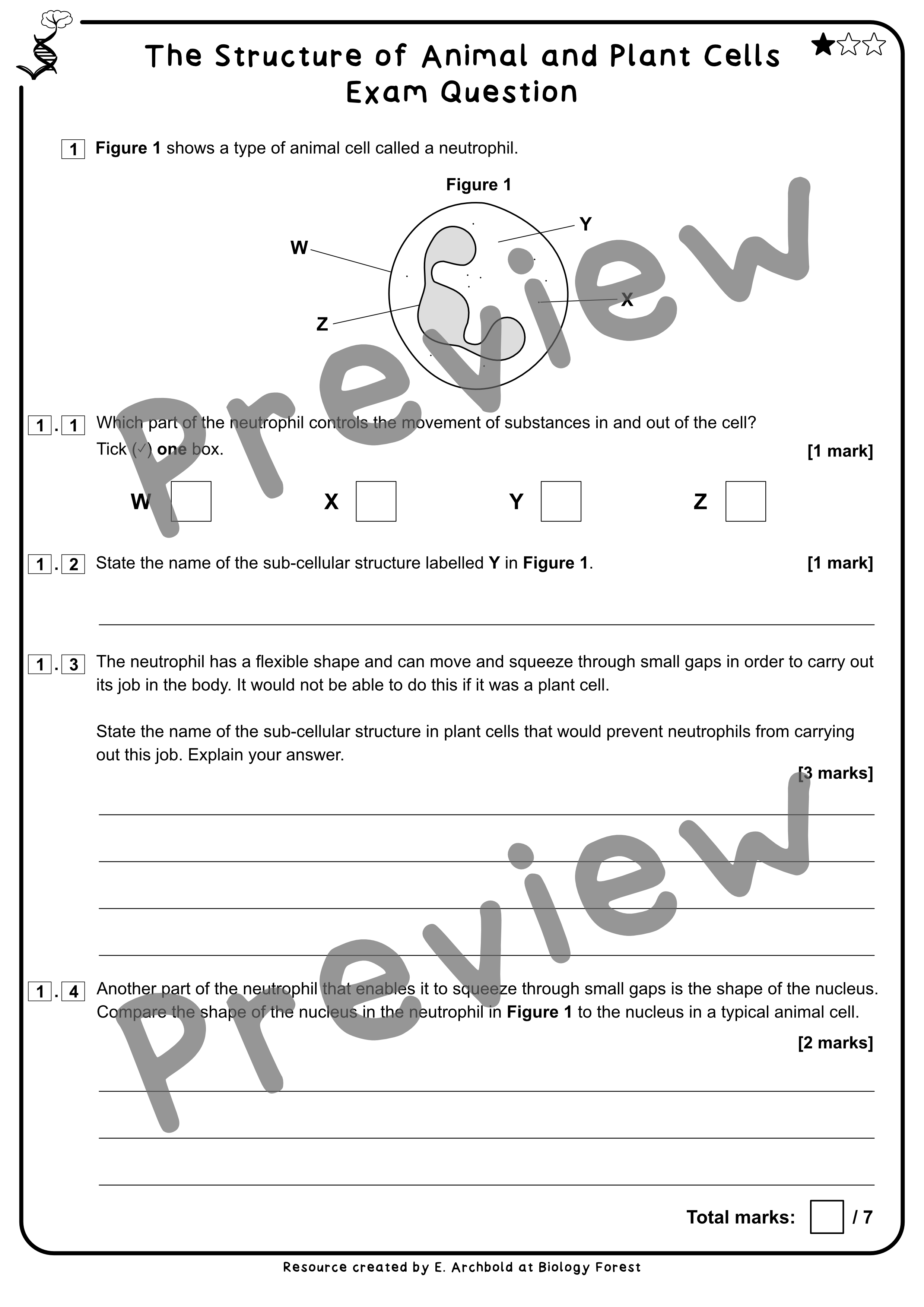 Animal and Plant Cell Structure | GCSE Biology | Teaching Resources