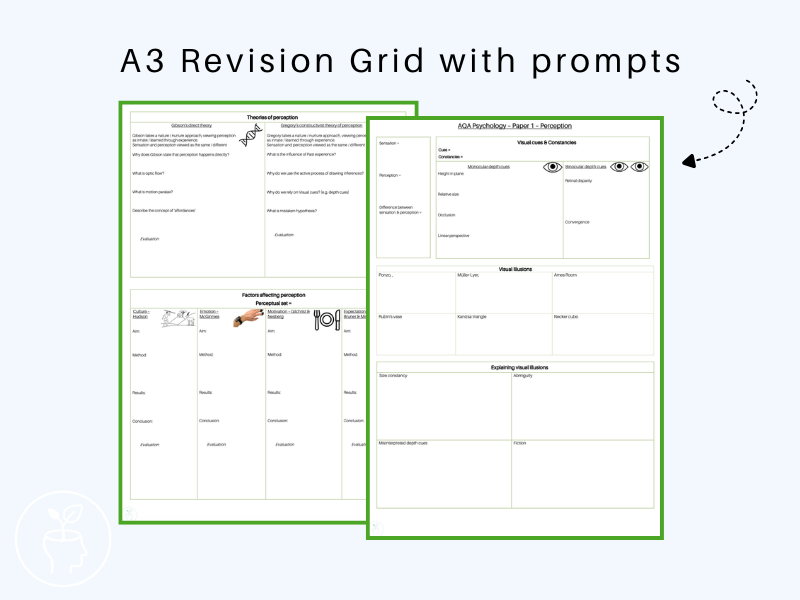GCSE Psychology AQA - Perception Revision Grid