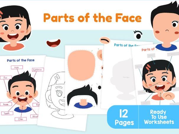 Parts of the Face Worksheets | Cut and Paste Face Activity EYFS