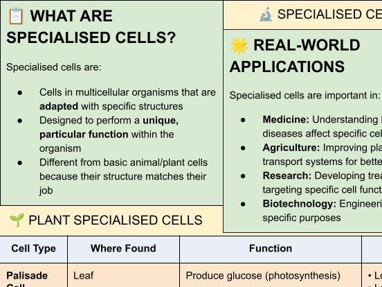 B1 AQA Trilogy Specialised Cells + Activity Sheet