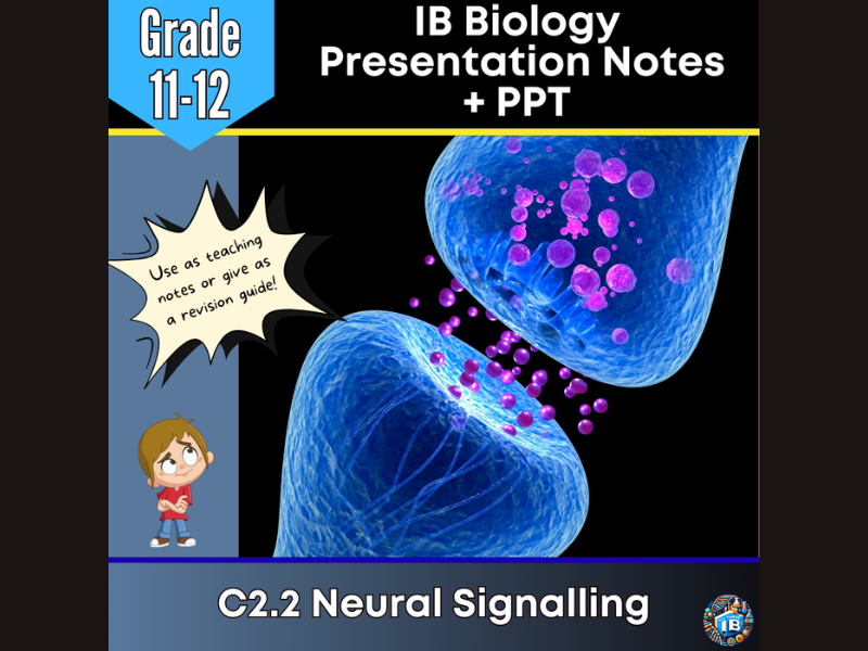 IB DP Biology C2.2 Neural Signalling Teaching Notes & PowerPoint 2026