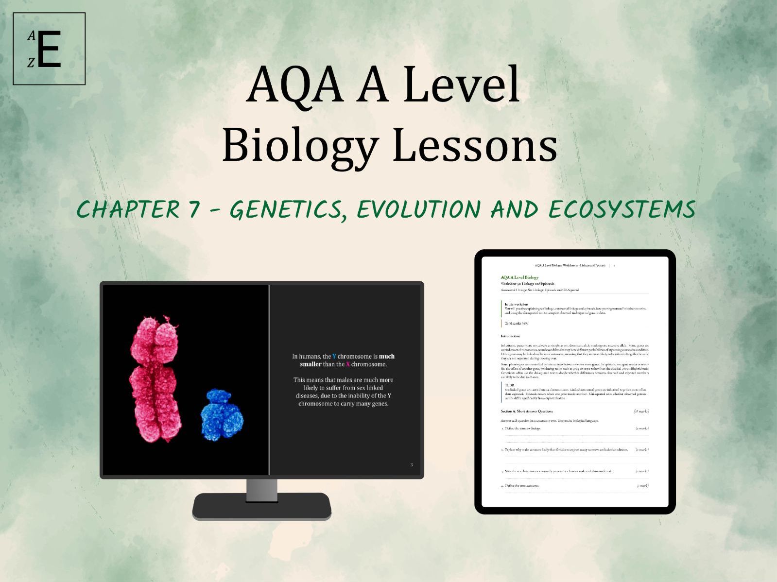 AQA A Level Biology Lessons Chapter 7 - Genetics, Evolution and Ecosystems