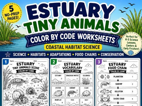 Estuary Tiny Animals Color by Code Worksheets | Coastal Habitat Science | K–3