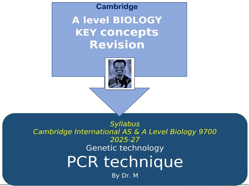 Principles of gene technology : PCR - Cambridge A Level Biology ...