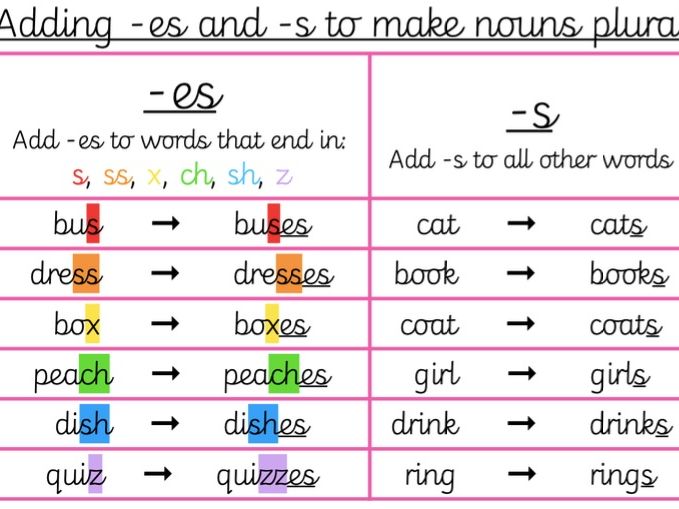 Y2/3 Spelling Rule Lesson Plural Nouns (s/es)