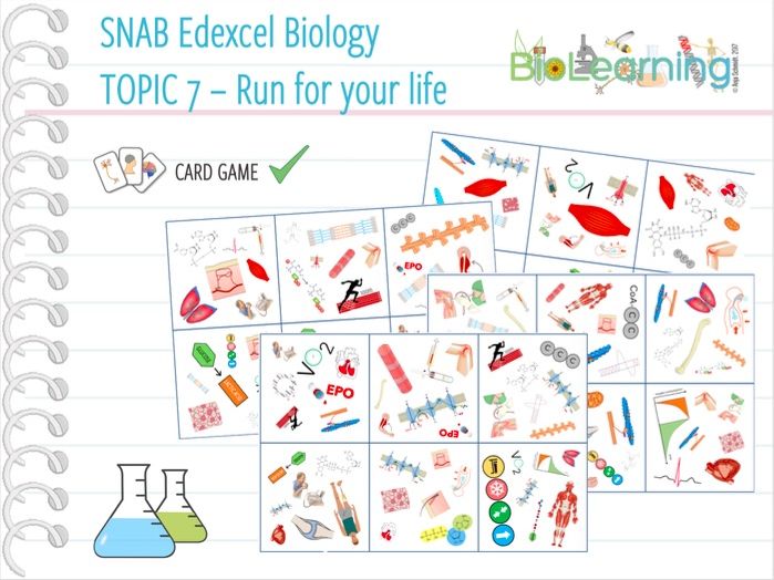 SNAB Biology Topic 7 Card Game Teaching Resources