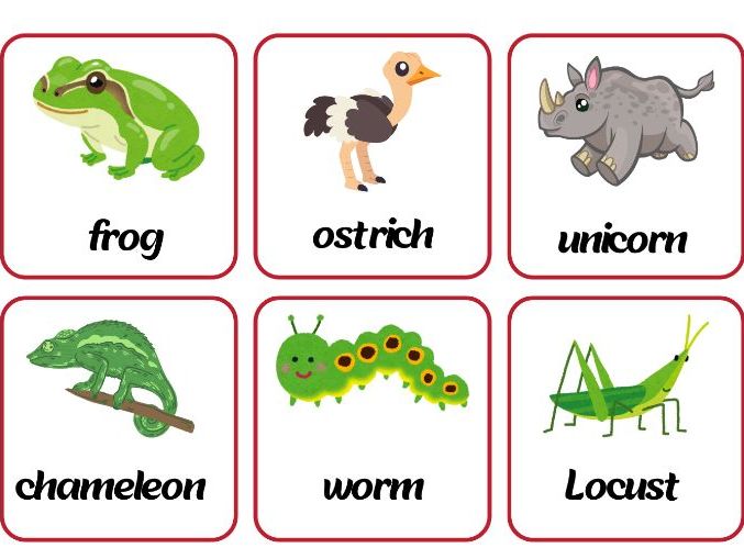 42 flash cards for kids about animals