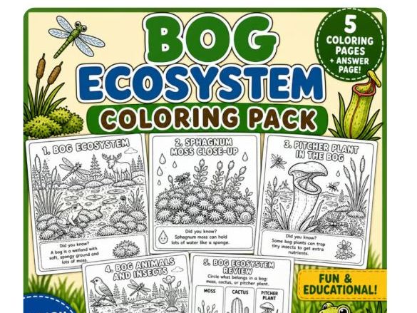 Bog Ecosystem Coloring Pages | Wetland Habitat Science Activities for Kids