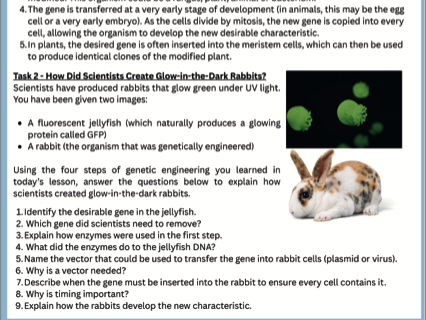 B13/L4 - Genetic Engineering Revision Worksheet With Answers/ GCSE /AQA/Combined Science