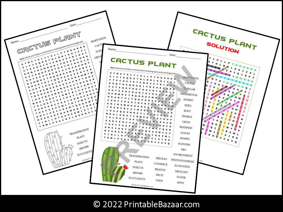 Cactus Plant Word Search Puzzle | Teaching Resources