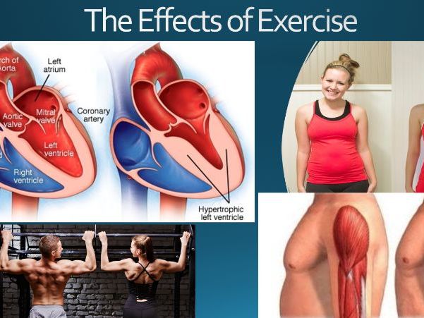 GCSE PE Effects of Exercise