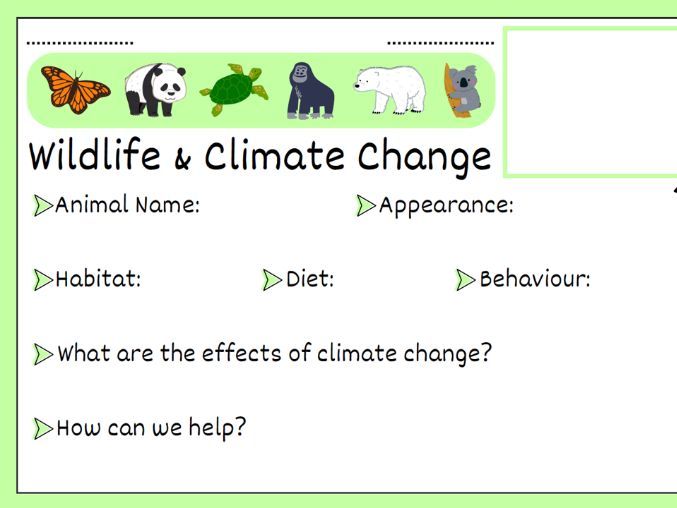 Wildlife and Climate Change Worksheet