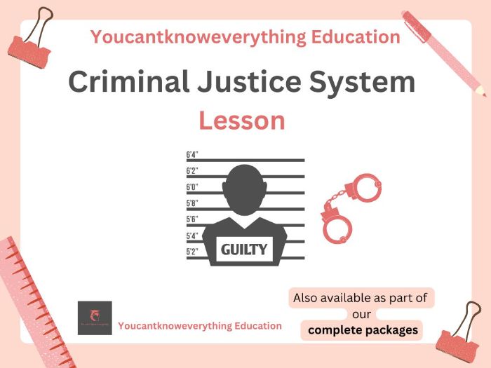 Criminal Justice System