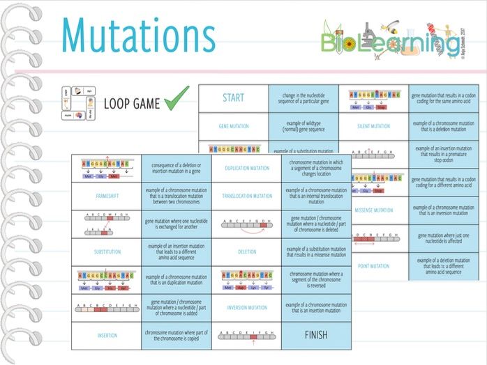 Mutations - Loop Game (KS4/5) | Teaching Resources