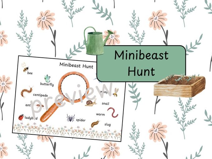 Minibeast hunt/viewfinder
