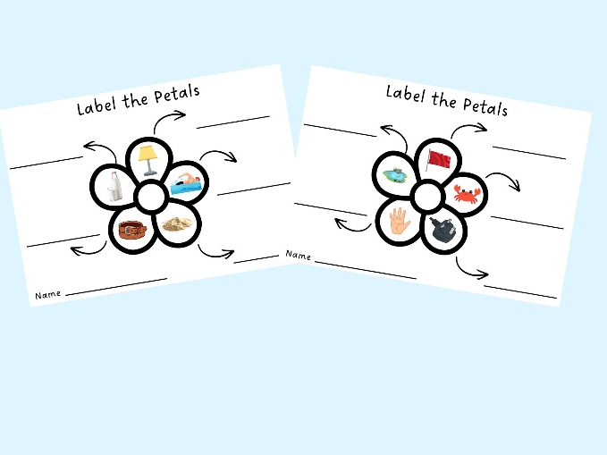 Label the Petals - CCVC/CVCC Writing