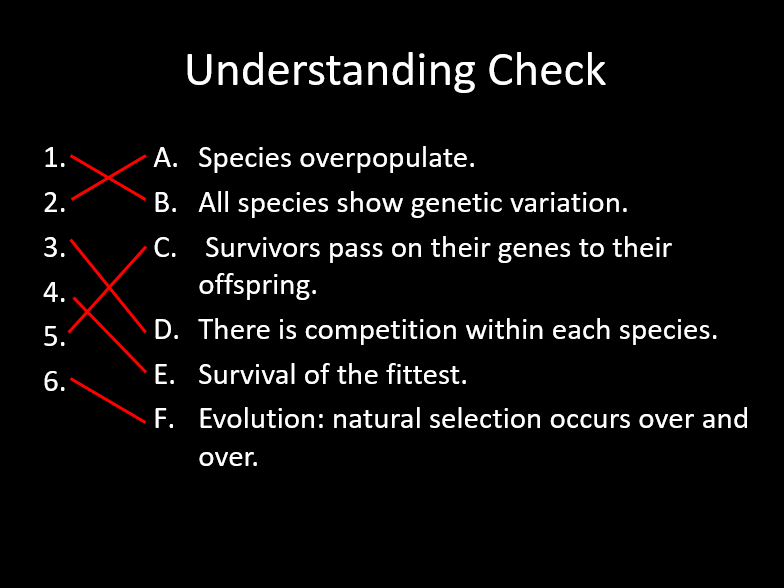Edexcel CB4 SB4 Natural Selection Complete Lesson - GCSE Biology/ Combined Science