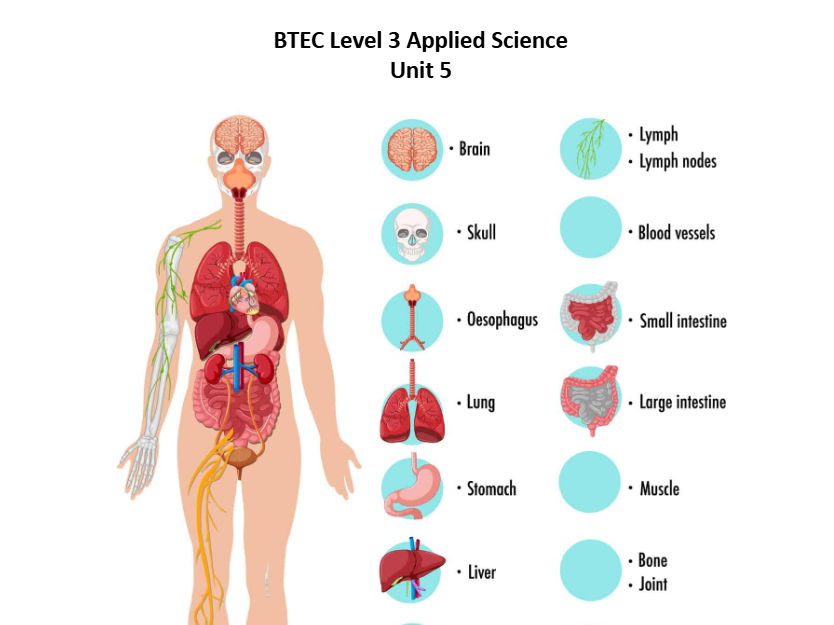 BTEC Lvl 3 App Sci Unit 5 Biology