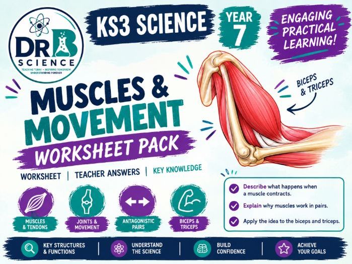 KS3 Muscles & Movement Worksheet Pack